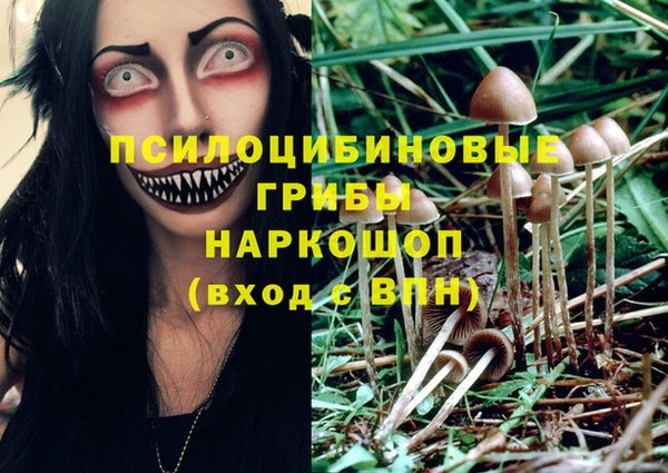 кокс Аркадак
